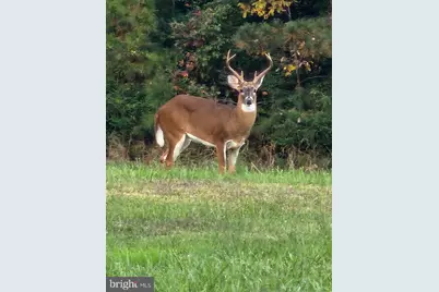 0 Sandy Beach Road, Heathsville, VA 22473 - Photo 9