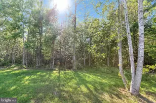 931 Light St, Heathsville, VA 22473 - Photo 29