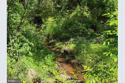 Dodlyt Road (Tract: Bk2932), Heathsville, VA 22473 - Photo 9
