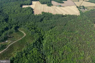 Dodlyt Road (Tract: Bk2932), Heathsville, VA 22473 - Photo 19