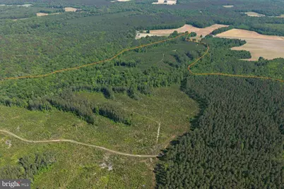 Dodlyt Road (Tract: Bk2932), Heathsville, VA 22473 - Photo 5