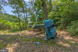 711 Lampkintown Rd, Burgess, VA 22432 - Photo 73