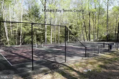 Lot 145 Pintail Lane, Heathsville, VA 22473 - Photo 9