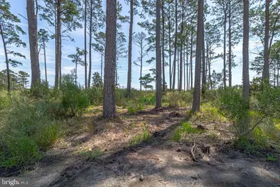 107 Galway Drive, Kilmarnock, VA 22482 - Photo 91