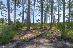 107 Galway Dr, Kilmarnock, VA 22482 - Photo 91