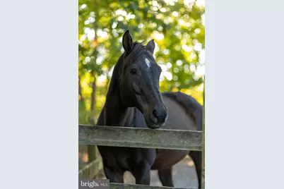 143 Edgemont Circle, Locust Grove, VA 22508 - Photo 75