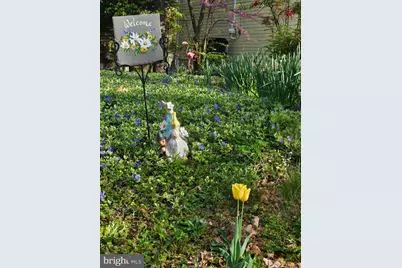 201 Washington Street, Locust Grove, VA 22508 - Photo 3