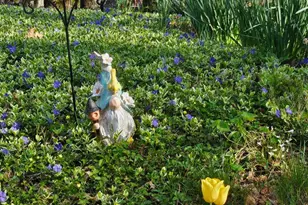 201 Washington St, Locust Grove, VA 22508 - Photo 3