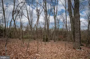 28270 Tatum Rd, Unionville, VA 22567 - Photo 49