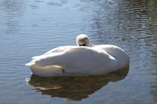 1204 Eastover Pkwy, Locust Grove, VA 22508 - Photo 13