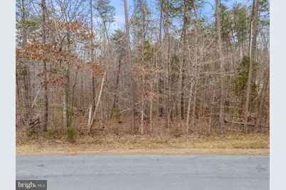 Mountain Track Road, Orange, VA 22960 - Photo 7