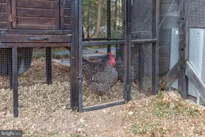 9408 Stonegate Lane, Rhoadesville, VA 22542 - Photo 29