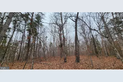 Lot 3 Lees Court, Locust Grove, VA 22508 - Photo 13