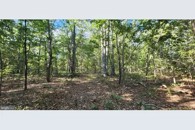 Lot 3 Lees Court, Locust Grove, VA 22508 - Photo 9