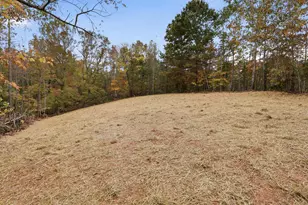 3281 Russel Run Rd, Locust Grove, VA 22508 - Photo 57