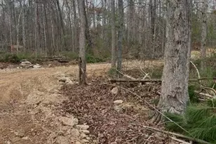 Lot 3 Woodlands Dr, Orange, VA 22960 - Photo 1