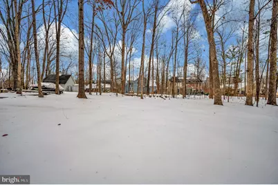 217 Washington Street, Locust Grove, VA 22508 - Photo 53