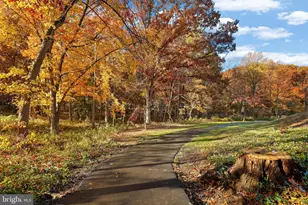 207 Spotswood Rd, Locust Grove, VA 22508 - Photo 45