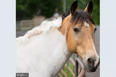 112 Birchside Circle, Locust Grove, VA 22508 - Photo 45