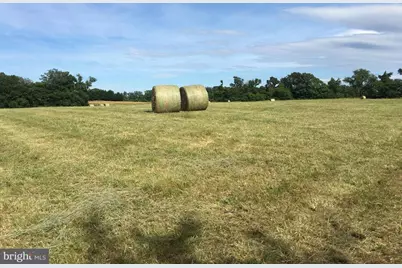 11175 Marquis Road, Unionville, VA 22567 - Photo 11