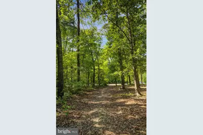 36133 Wilderness Shores Way #LOT 635, Locust Grove, VA 22508 - Photo 41