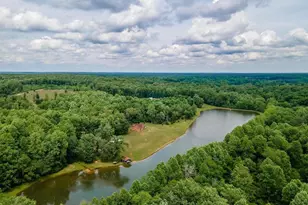 29082 Raccoon Ford Rd, Burr Hill, VA 22433 - Photo 1