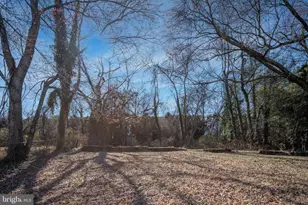 246 Berry St, Orange, VA 22960 - Photo 43