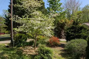 322 Birchside Cir, Locust Grove, VA 22508 - Photo 79