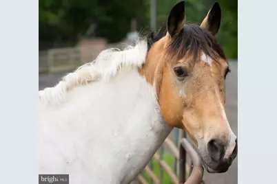 550 Harrison Circle, Locust Grove, VA 22508 - Photo 11
