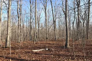 R/W Off Justice Dr, Orange, VA 22960 - Photo 1