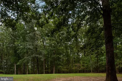 32236 Deep Meadow Lane, Locust Grove, VA 22508 - Photo 43