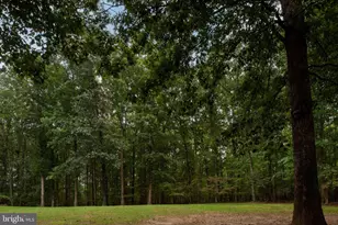 32236 Deep Meadow Ln, Locust Grove, VA 22508 - Photo 43