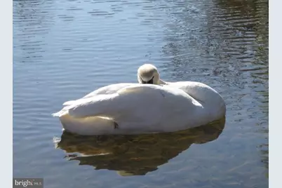 408 Liberty Boulevard, Locust Grove, VA 22508 - Photo 45