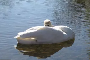 408 Liberty Blvd, Locust Grove, VA 22508 - Photo 45