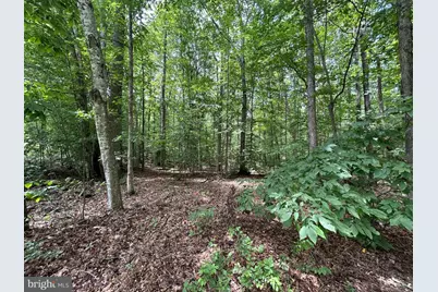 18184 Crawford Lane, Gordonsville, VA 22942 - Photo 67