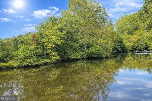 26700 Daniels Point Dr, Unionville, VA 22567 - Photo 41