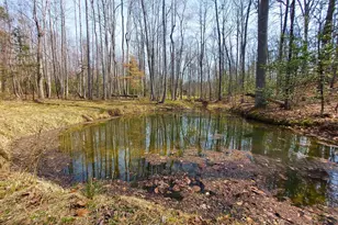 28100 Tatum Rd, Unionville, VA 22567 - Photo 33