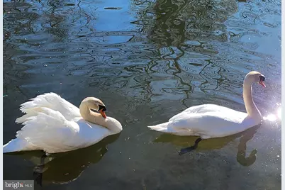 112 Confederate Circle, Locust Grove, VA 22508 - Photo 63