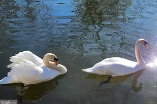 112 Confederate Cir, Locust Grove, VA 22508 - Photo 63