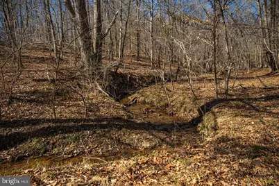 0 Cox Mill Rd, Gordonsville, VA 22942 - Photo 21