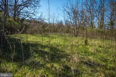 0 Cox Mill Rd, Gordonsville, VA 22942 - Photo 33
