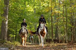 200 Wilderness Ln, Locust Grove, VA 22508 - Photo 37