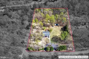 6265 Browning Rd, Culpeper, VA 22701 - Photo 3