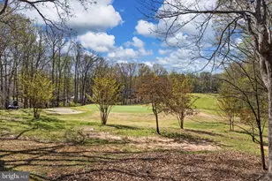 111 Chesterfield Ct, Locust Grove, VA 22508 - Photo 11