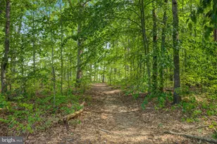36247 Coyote Trail, Locust Grove, VA 22508 - Photo 39
