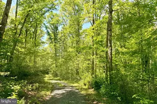 Lot 5 Autumn Ridge Ln, Unionville, VA 22567 - Photo 5