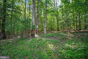 909 Eastover Pkwy, Locust Grove, VA 22508 - Photo 57