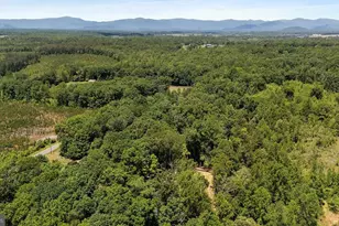 12121 Albano Rd, Barboursville, VA 22923 - Photo 67