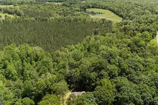 12121 Albano Rd, Barboursville, VA 22923 - Photo 59