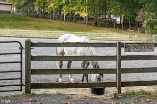 705 Mt Pleasant Dr, Locust Grove, VA 22508 - Photo 55